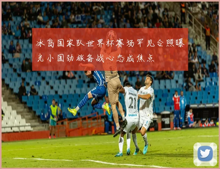 冰岛国家队世界杯赛场罕见合照曝光小国劲旅备战心态成焦点