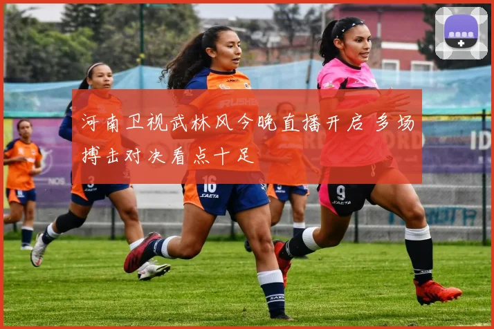 河南卫视武林风今晚直播开启 多场搏击对决看点十足