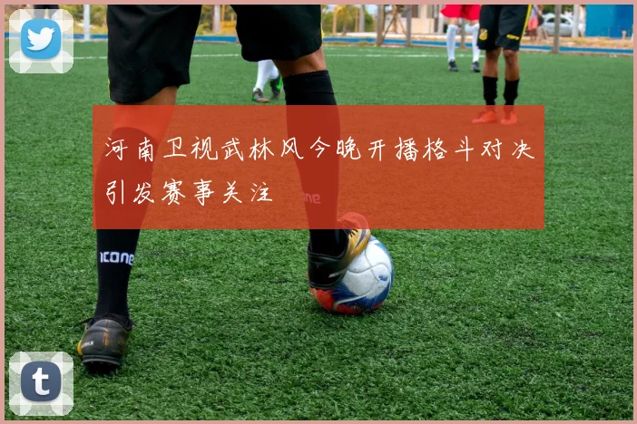 河南卫视武林风今晚开播格斗对决引发赛事关注