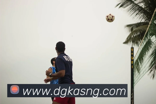 云顶集团官网登录入口服务体系