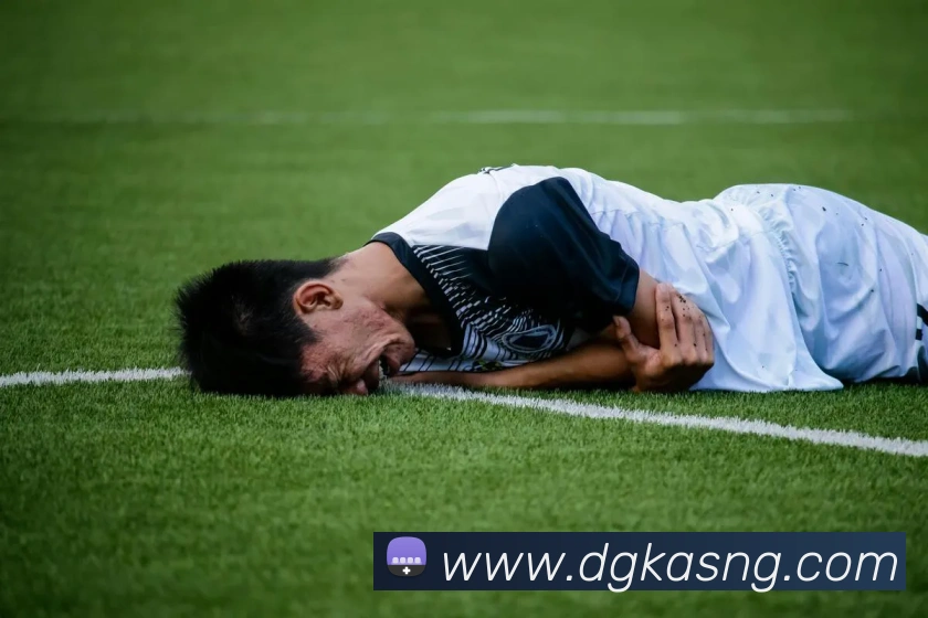 多媒体互动体验